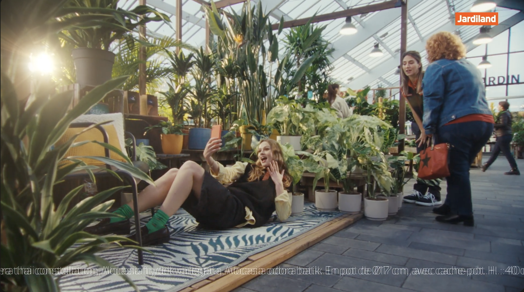 Jardiland dévoile son nouveau territoire de communication avec DENTSU CREATIVE