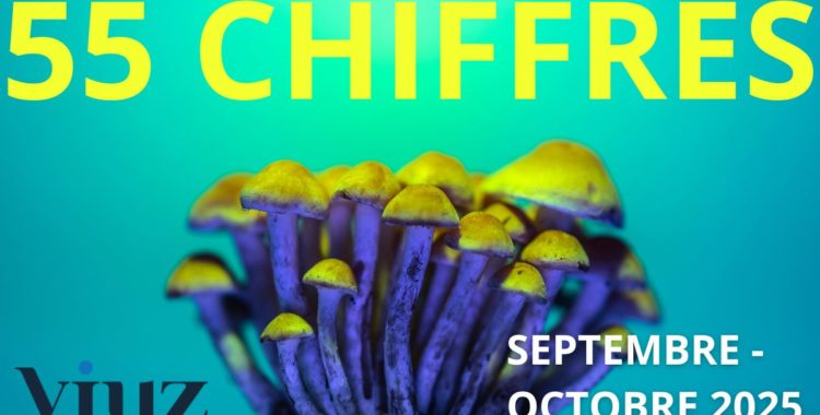Perspectives : 55 chiffres qu’il fallait retenir de septembre à octobre 2025