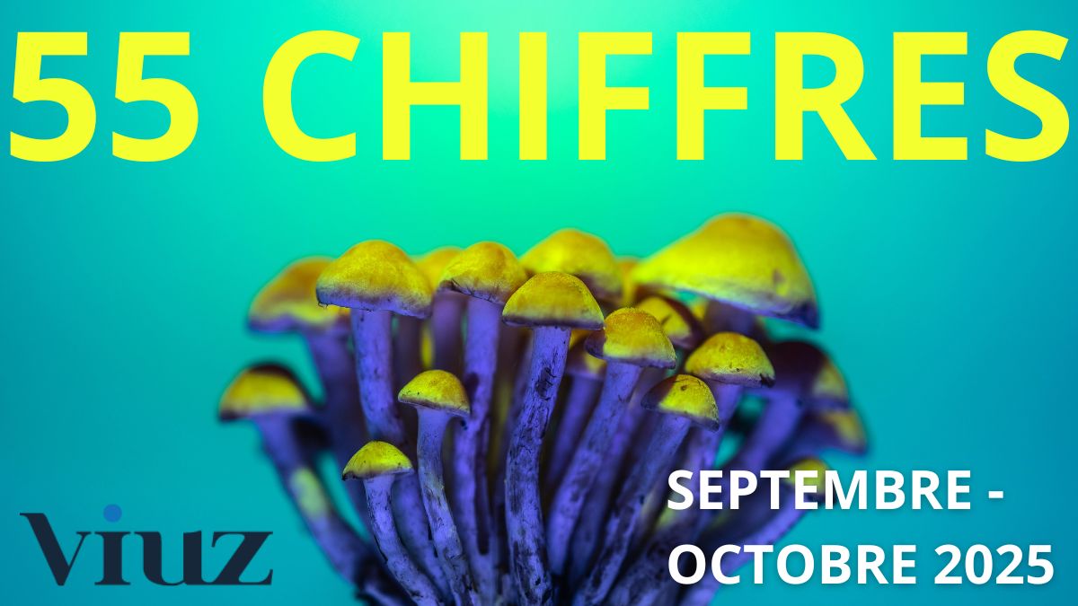 Perspectives : 55 chiffres qu’il fallait retenir de septembre à octobre 2025
