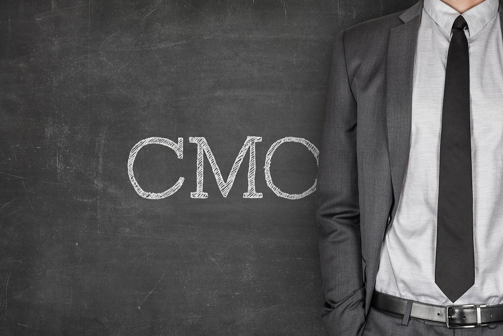 Etude Directeur Marketing CMO