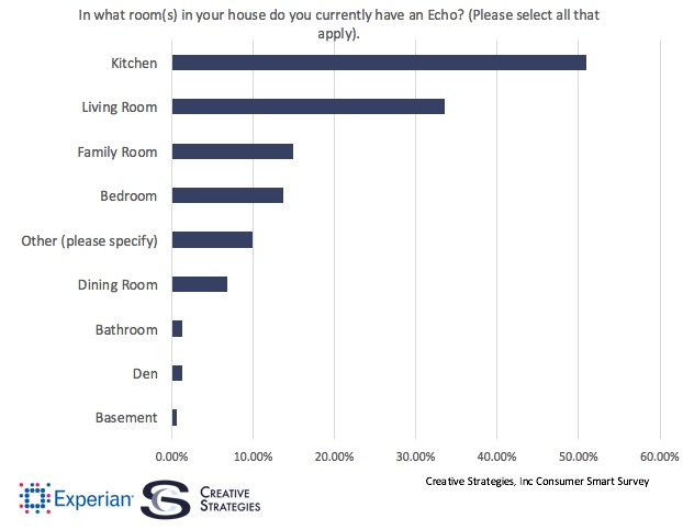 Etude Usage Echo Alexa Amazon techpinions experian creative strategies
