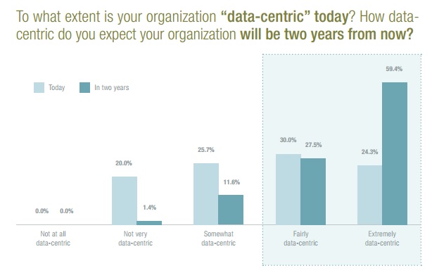 etude-entreprises-data-centric-iab-winterberry-image-1